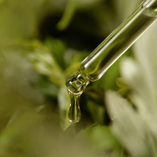 Заспокійлива сироватка з полином | I&rsquo;m From Mugwort Serum, 30ml 1458 фото